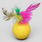 Игрушка для кошек «Рифлёный шар с пером», 3.5 см, цвет МИКС - Фото 3