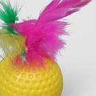 Игрушка для кошек «Рифлёный шар с пером», 3.5 см, цвет МИКС - Фото 4