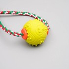 Игрушка канатная с жевательными элементами "Шар с 1 ручкой", до 36 см, разноцветная - Фото 3