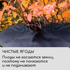 Круг приствольный, d = 0,6 м, плотность 60 г/м², спанбонд с УФ-стабилизатором, набор 5 шт., чёрный, Greengo, Эконом 20% - фото 8966809