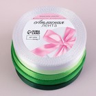 Атласная лента, набор 5 шт., 10 мм, 23±1 м, белая, зелёная - Фото 3