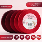 Набор атласных лент, 5 шт, размер 1 ленты: 10 мм × 23 ± 1 м, цвет красный спектр - фото 8647632