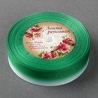 Лента репсовая «Градиент», 25 мм, 18 ± 1 м, цвет зелёный - Фото 2