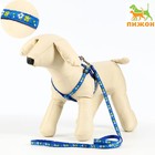 Комплект прошитый "Цветы", поводок 120 х 1 см, ОГ 23-35 см, тёмно-синий - Фото 1