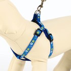 Комплект прошитый "Цветы", поводок 120 х 1 см, ОГ 23-35 см, тёмно-синий - Фото 2