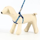 Комплект прошитый "Цветы", поводок 120 х 1 см, ОГ 23-35 см, тёмно-синий - Фото 3