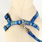 Комплект прошитый "Цветы", поводок 120 х 1 см, ОГ 23-35 см, тёмно-синий - Фото 4