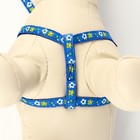 Комплект прошитый "Цветы", поводок 120 х 1 см, ОГ 23-35 см, тёмно-синий - Фото 5