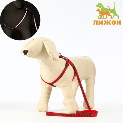 Комплект светоотражающий «Косточки», поводок 1×120 см (ОШ 26-42 см, ОГ 26-42 см) красный