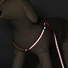 Комплект светоотражающий «Косточки», поводок 1×120 см (ОШ 26-42 см, ОГ 26-42 см) красный - Фото 2