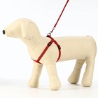 Комплект светоотражающий «Косточки», поводок 1×120 см (ОШ 26-42 см, ОГ 26-42 см) красный - Фото 4