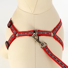 Комплект светоотражающий «Косточки», поводок 1×120 см (ОШ 26-42 см, ОГ 26-42 см) красный - Фото 5