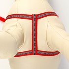 Комплект светоотражающий «Косточки», поводок 1×120 см (ОШ 26-42 см, ОГ 26-42 см) красный - Фото 6