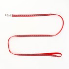 Комплект светоотражающий «Косточки», поводок 1×120 см (ОШ 26-42 см, ОГ 26-42 см) красный - Фото 7
