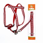 Комплект светоотражающий «Косточки», поводок 1×120 см (ОШ 26-42 см, ОГ 26-42 см) красный - Фото 8