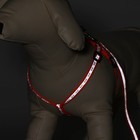 Комплект светоотражающий «Косточки», ошейник 120×1 см, ОШ 24-40 см, ОГ 24-40 см оранжевый - Фото 2