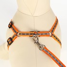 Комплект светоотражающий «Косточки», ошейник 120×1 см, ОШ 24-40 см, ОГ 24-40 см оранжевый - Фото 5