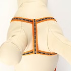 Комплект светоотражающий «Косточки», ошейник 120×1 см, ОШ 24-40 см, ОГ 24-40 см оранжевый - Фото 6