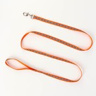 Комплект светоотражающий «Косточки», ошейник 120×1 см, ОШ 24-40 см, ОГ 24-40 см оранжевый - Фото 7