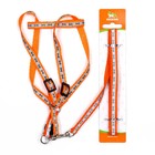 Комплект светоотражающий «Косточки», ошейник 120×1 см, ОШ 24-40 см, ОГ 24-40 см оранжевый - Фото 8