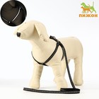 Комплект светоотражающий "Косточки", поводок 1 х 120 см (ОШ 22-34 см ,ОГ 22-34 см) чёрный - Фото 1