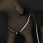 Комплект светоотражающий "Косточки", поводок 1 х 120 см (ОШ 22-34 см ,ОГ 22-34 см) чёрный - Фото 2