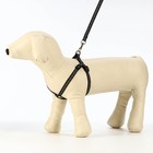 Комплект светоотражающий "Косточки", поводок 1 х 120 см (ОШ 22-34 см ,ОГ 22-34 см) чёрный - Фото 4