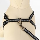 Комплект светоотражающий "Косточки", поводок 1 х 120 см (ОШ 22-34 см ,ОГ 22-34 см) чёрный - Фото 5