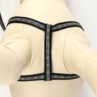 Комплект светоотражающий "Косточки", поводок 1 х 120 см (ОШ 22-34 см ,ОГ 22-34 см) чёрный - Фото 6