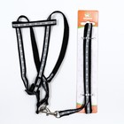 Комплект светоотражающий "Косточки", поводок 1 х 120 см (ОШ 22-34 см ,ОГ 22-34 см) чёрный - Фото 8