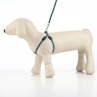 Комплект светоотражающий "Косточки", ширина 1 см, голубой - Фото 2