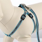 Комплект светоотражающий "Косточки", ширина 1 см, голубой - Фото 3