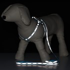 Комплект светоотражающий "Косточки", ширина 1 см, голубой - Фото 8