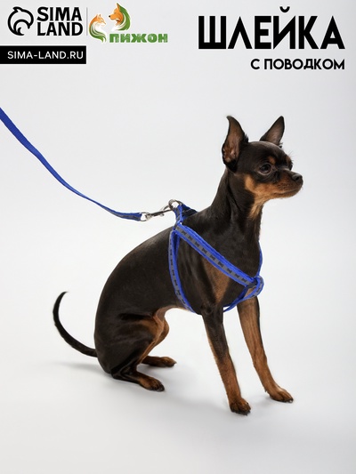 Комплект светоотражающий «Косточки»,поводок 1×120 см,(ОШ 28-36 см, ОГ 28-36 см) синий