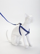 Комплект светоотражающий «Косточки»,поводок 1×120 см,(ОШ 28-36 см, ОГ 28-36 см) синий - Фото 2