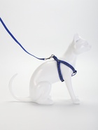 Комплект светоотражающий «Косточки»,поводок 1×120 см,(ОШ 28-36 см, ОГ 28-36 см) синий - Фото 3