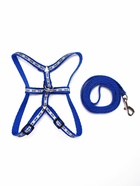 Комплект светоотражающий «Косточки»,поводок 1×120 см,(ОШ 28-36 см, ОГ 28-36 см) синий - Фото 4