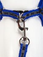 Комплект светоотражающий «Косточки»,поводок 1×120 см,(ОШ 28-36 см, ОГ 28-36 см) синий - Фото 6