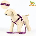 Комплект «Звёздные косточки», ширина 1 см, поводок 120 см, шлейка 23-35 см, фиолетовый - Фото 1