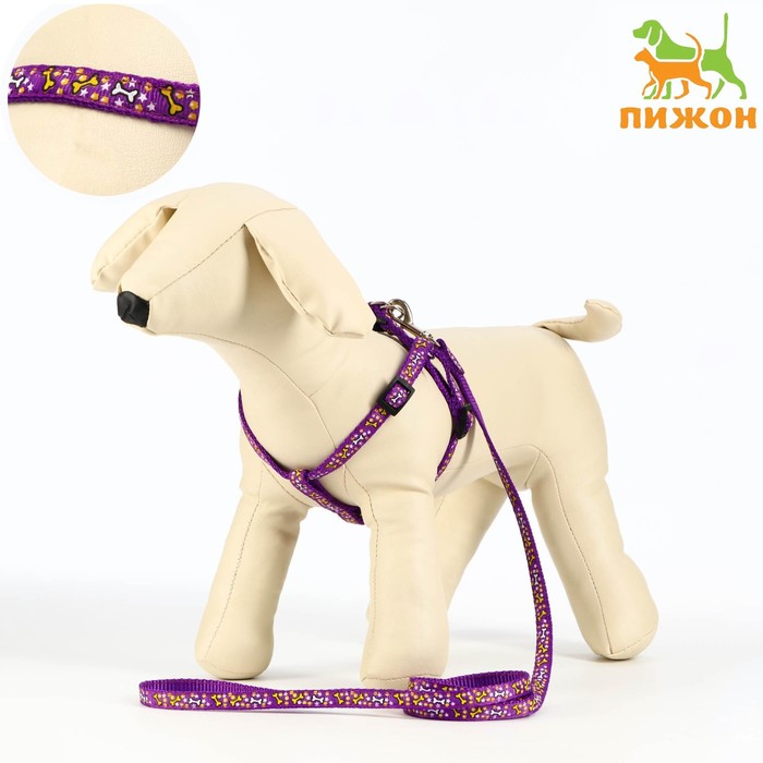 Комплект «Звёздные косточки», ширина 1 см, поводок 120 см, шлейка 23-35 см, фиолетовый - Фото 1