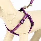 Комплект «Звёздные косточки», ширина 1 см, поводок 120 см, шлейка 23-35 см, фиолетовый - Фото 2