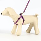 Комплект «Звёздные косточки», ширина 1 см, поводок 120 см, шлейка 23-35 см, фиолетовый - Фото 3