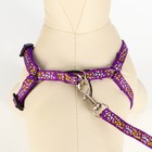 Комплект «Звёздные косточки», ширина 1 см, поводок 120 см, шлейка 23-35 см, фиолетовый - Фото 4