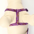 Комплект «Звёздные косточки», ширина 1 см, поводок 120 см, шлейка 23-35 см, фиолетовый - Фото 5