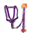 Комплект «Звёздные косточки», ширина 1 см, поводок 120 см, шлейка 23-35 см, фиолетовый - Фото 7