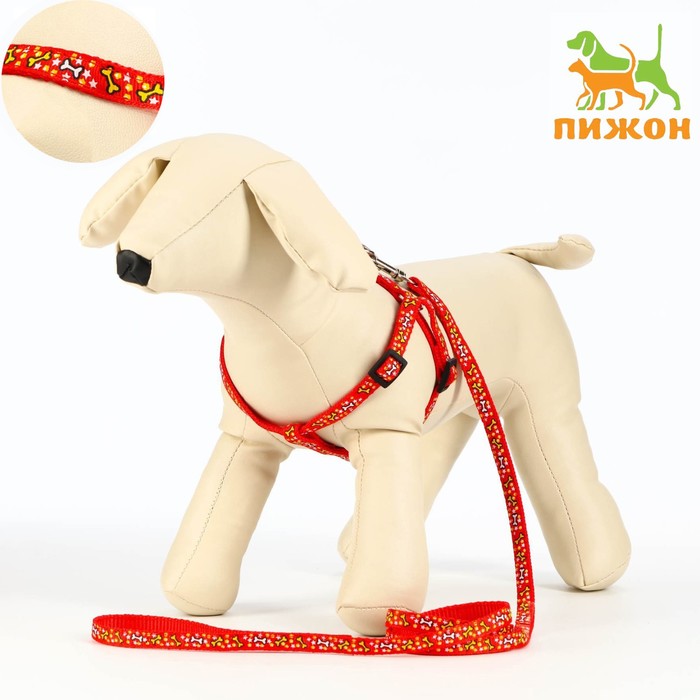 Комплект "Звёздные косточки", поводок 120 х 1 см, ОГ 23-35 см, красный - Фото 1