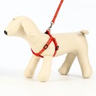 Комплект "Звёздные косточки", поводок 120 х 1 см, ОГ 23-35 см, красный - Фото 3