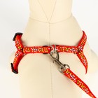 Комплект "Звёздные косточки", поводок 120 х 1 см, ОГ 23-35 см, красный - Фото 4