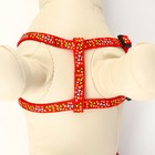 Комплект "Звёздные косточки", поводок 120 х 1 см, ОГ 23-35 см, красный - Фото 5