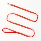 Комплект "Звёздные косточки", поводок 120 х 1 см, ОГ 23-35 см, красный - Фото 6